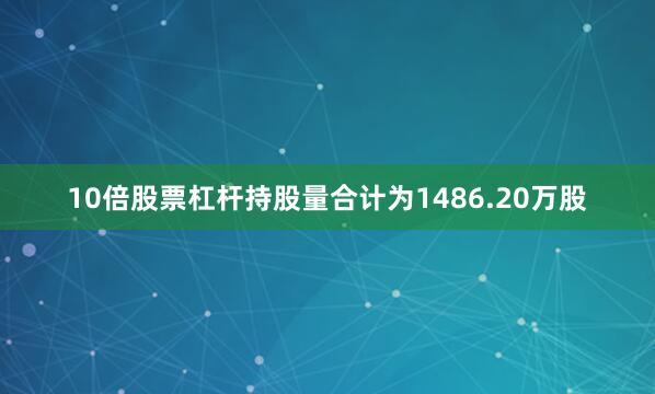 10倍股票杠杆持股量合计为1486.20万股