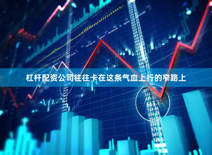 杠杆配资公司往往卡在这条气血上行的窄路上