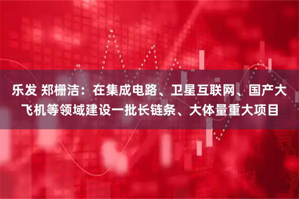 乐发 郑栅洁：在集成电路、卫星互联网、国产大飞机等领域建设一批长链条、大体量重大项目