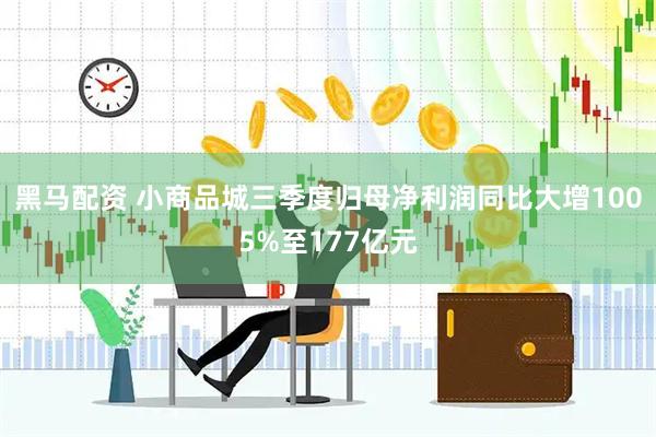 黑马配资 小商品城三季度归母净利润同比大增1005%至177亿元