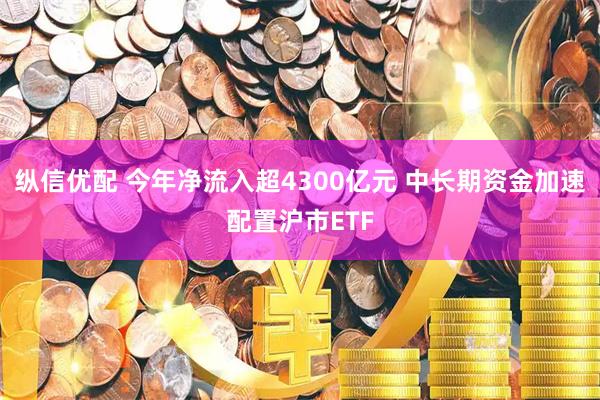 纵信优配 今年净流入超4300亿元 中长期资金加速配置沪市ETF