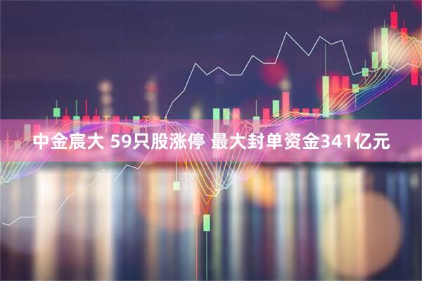 中金宸大 59只股涨停 最大封单资金341亿元
