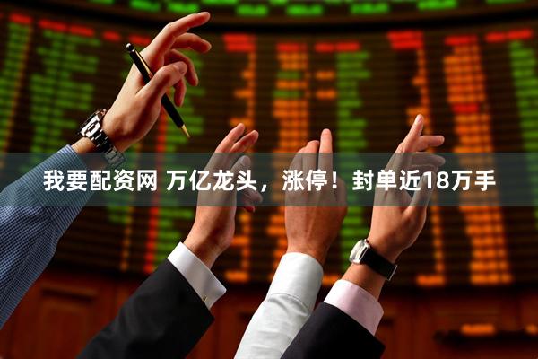 我要配资网 万亿龙头，涨停！封单近18万手