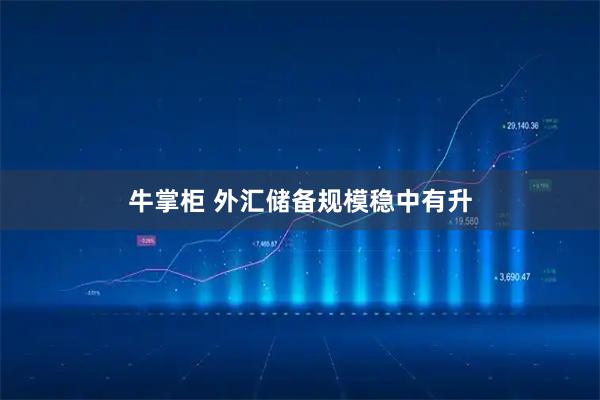 牛掌柜 外汇储备规模稳中有升