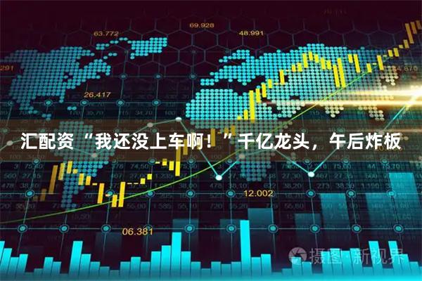 汇配资 “我还没上车啊！”千亿龙头，午后炸板