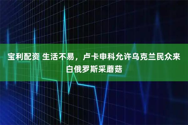 宝利配资 生活不易，卢卡申科允许乌克兰民众来白俄罗斯采蘑菇